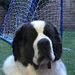 Profile Picture of Jacobo Flora (@jacoboflora) on Pinterest