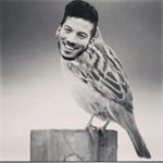 Profile Picture of Katelyn-Chan (@_katelyn.chan_) on Instagram