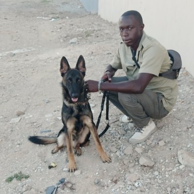 Profile Picture of Paul Robert Zola (@PaulRobertzola1) on Twitter