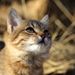 Profile Picture of Lisa Choe (@choe0103) on Pinterest