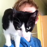 Profile Picture of Silje Jean Maloney Barth (@siljejean) on Instagram