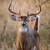 Profile Picture of Craig Percell (@craig.percell.58) on Facebook