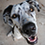 Profile Picture of Daniel Ford (@Ford's Photography) on Flickr