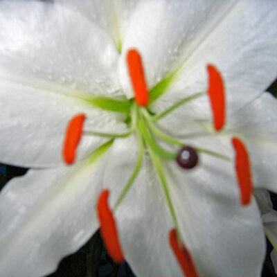 Profile Picture of Lucie Tremblay (@@Soeur) on Twitter