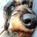 Profile Picture of Daniel List (@hotteklamotte) on Pinterest