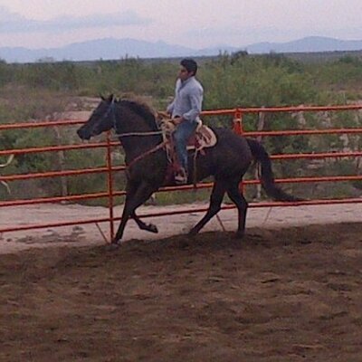 Profile Picture of Alexander Asis (@AlexanderAsis) on Twitter