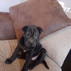 Profile Picture of Paul Grosvenor428 (@paulgrosvenor428) on Tiktok