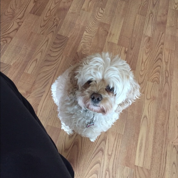 Profile Picture of Kara Strukel (@kstrukel0) on Poshmark