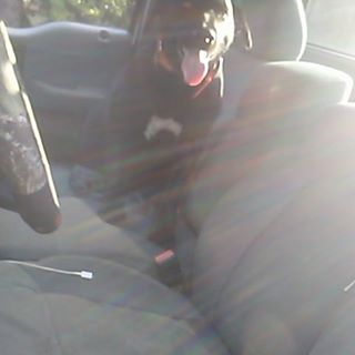 Profile Picture of Ian Brogan (@ian.brogan.50) on Facebook