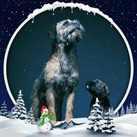 Profile Picture of Andrew Nobbs (@andynobbs01) on Pinterest