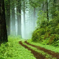 Profile Picture of Alexa Rossetti (@alexa-rossetti) on Quora