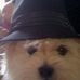Profile Picture of Buffy Pease (@buffy.pease) on Facebook