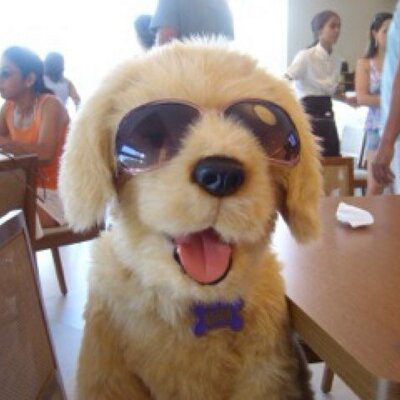 Profile Picture of Nick Galasso (@DogGalasso) on Twitter