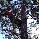 Jonathan Ray Elmore - Instagram Profile Picture of Jonathan Ray Elmore (@elmorejonathanray) on Instagram