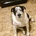 Profile Picture of Dave Wiles (@dave.wiles.10048) on Facebook