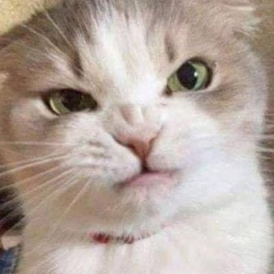 Profile Picture of George E. Kirby Jr. (@GeorgeEKirbyJr1) on Twitter