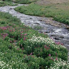 Profile Picture of joannestack117 (@joannestack117) on Tiktok