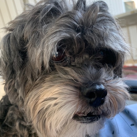 Profile Picture of Barbara Conroy (@barbc_53) on Poshmark