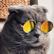 Profile Picture of Samuel Knight (@SamKnightOfficial) on Youtube