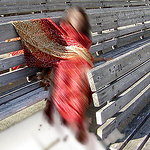 Profile Picture of Moku (@moku) on Flickr