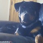 Profile Picture of Aaron Monaghan (@aaron.monaghan.775) on Instagram