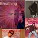 Profile Picture of Nathan Seth (@nathan777seth) on Pinterest