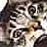 Profile Picture of Schmusekatze_25 (@schmusekatze_25) on Flickr