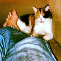 Profile Picture of Abby Shepard (@abby-shepard) on Quora