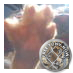 Profile Picture of Leo811(tiki Kim) ~ Mask-Up Jerks! ~ (@leo811) on Twitter