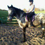 Profile Picture of Natoli Stacey Davies (@natoliphemzz) on Instagram