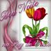 Profile Picture of Felix Augustin (@felix.augustin.7792) on Facebook