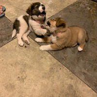 Profile Picture of Kay Higgins (@kay-higgins-19) on Quora