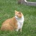 Profile Picture of Ralph Barger (@ralph.barger.9) on Facebook