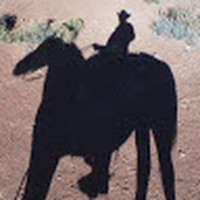 David Shumway - Quora Profile Picture of David Shumway (@david-shumway-18) on Quora