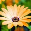 Profile Picture of Carol Dupont810 (@@caroldupont3) on Tiktok
