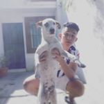 Profile Picture of Alejandro Alvarado (@alejandro_govea123) on Instagram