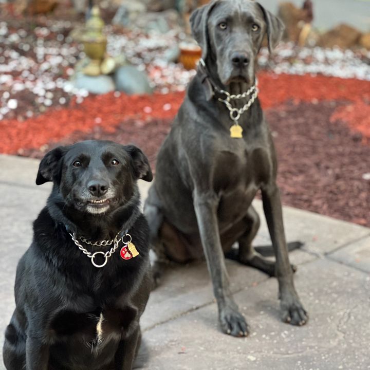 Profile Picture of Michael Sickinger (@michaelsickinger2) on Tiktok