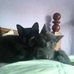 Profile Picture of Elaine Goldstein (@elaine.goldstein.7) on Facebook