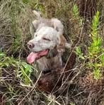 Profile Picture of David Benvenuti (@david.benvenuti.62) on Facebook