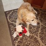 Profile Picture of Tom Wiginton (@Tom-Wiginton) on Facebook