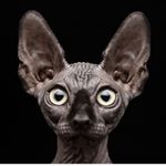 Profile Picture of Carlos Agramonte (@cagramonte3112) on Instagram