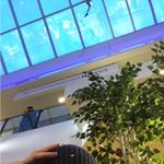 Profile Picture of Erik Lindström Milovojevic (@nims.delal) on Instagram