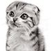 Profile Picture of Janet Menge (@Janet-Menge) on Facebook