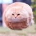 Profile Picture of Justin Shupe (@justin.shupe.18) on Facebook