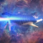 Profile Picture of Sean Yuen (@acedyr) on Instagram