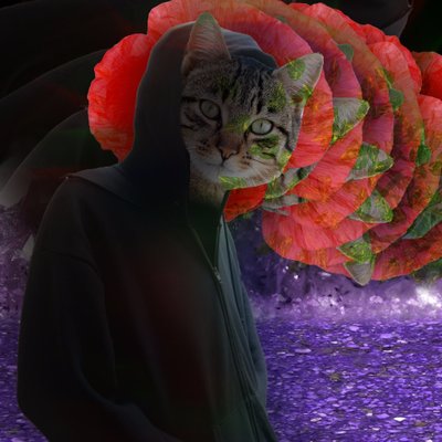 Profile Picture of Amadeo Ramirez (@cshester_magee) on Twitter