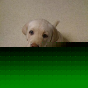 Profile Picture of Barry Doggett (@229739323) on Myspace