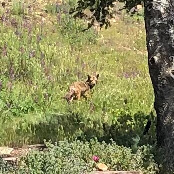 Profile Picture of Mike Jeffers (@KingoftheMikes) on Twitter