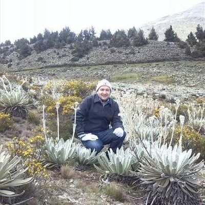Profile Picture of Johan Castro (@castrocandanga7) on Twitter