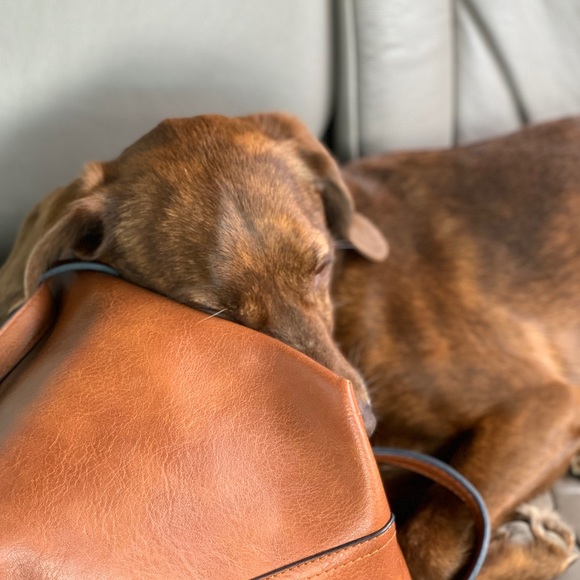 Profile Picture of Nate Thomas (@natethomas650) on Poshmark